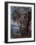 Olive Trees at the Beginning of the Roquebrune Trail, 1892 (Oil on Canvas)-Emmanuel Lansyer-Framed Giclee Print