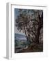 Olive Trees at the Beginning of the Roquebrune Trail, 1892 (Oil on Canvas)-Emmanuel Lansyer-Framed Giclee Print