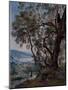 Olive Trees at the Beginning of the Roquebrune Trail, 1892 (Oil on Canvas)-Emmanuel Lansyer-Mounted Giclee Print