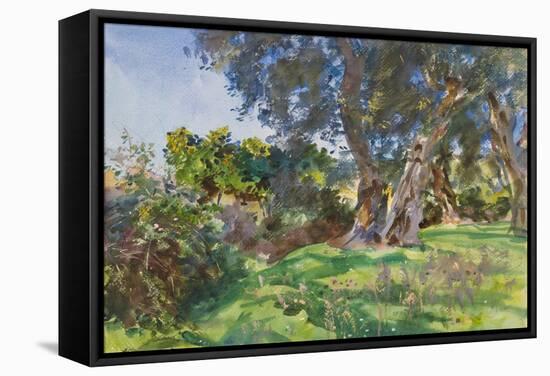 Olive Trees, Corfu-John Singer Sargent-Framed Stretched Canvas