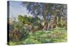 Olive Trees, Corfu-John Singer Sargent-Stretched Canvas