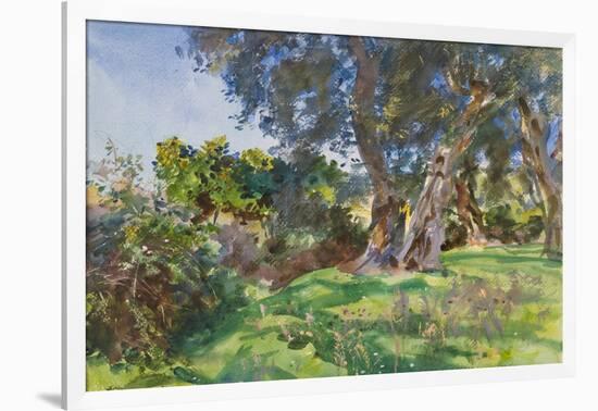 Olive Trees, Corfu-John Singer Sargent-Framed Giclee Print