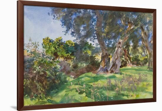 Olive Trees, Corfu-John Singer Sargent-Framed Giclee Print