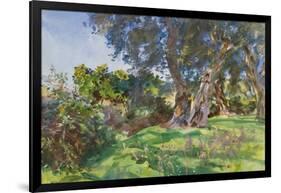 Olive Trees, Corfu-John Singer Sargent-Framed Giclee Print