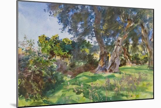 Olive Trees, Corfu-John Singer Sargent-Mounted Giclee Print