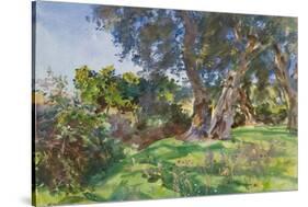 Olive Trees, Corfu-John Singer Sargent-Stretched Canvas