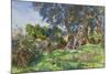 Olive Trees, Corfu-John Singer Sargent-Mounted Giclee Print