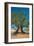 Olive Trees Djerba Tunisia-null-Framed Premium Giclee Print