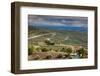 Olive trees in a field, Ubeda, Jaen Province, Andalusia, Spain-null-Framed Photographic Print