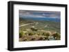 Olive trees in a field, Ubeda, Jaen Province, Andalusia, Spain-null-Framed Photographic Print