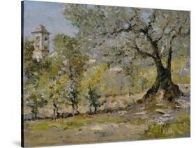 Olive Trees in Florence-William Merritt Chase-Stretched Canvas