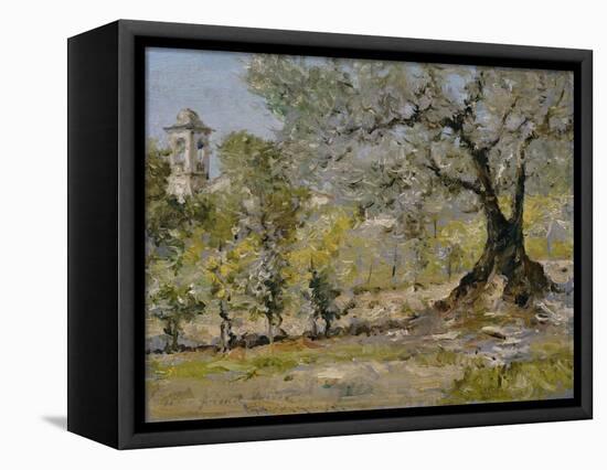 Olive Trees in Florence-William Merritt Chase-Framed Stretched Canvas