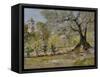 Olive Trees in Florence-William Merritt Chase-Framed Stretched Canvas