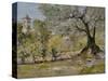 Olive Trees in Florence-William Merritt Chase-Stretched Canvas