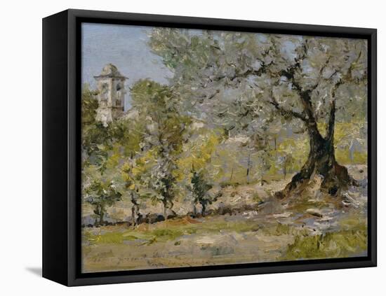 Olive Trees in Florence-William Merritt Chase-Framed Stretched Canvas