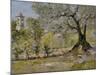 Olive Trees in Florence-William Merritt Chase-Mounted Giclee Print