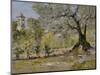 Olive Trees in Florence-William Merritt Chase-Mounted Giclee Print
