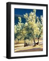 Olive Trees in Italy-Helen J. Vaughn-Framed Giclee Print