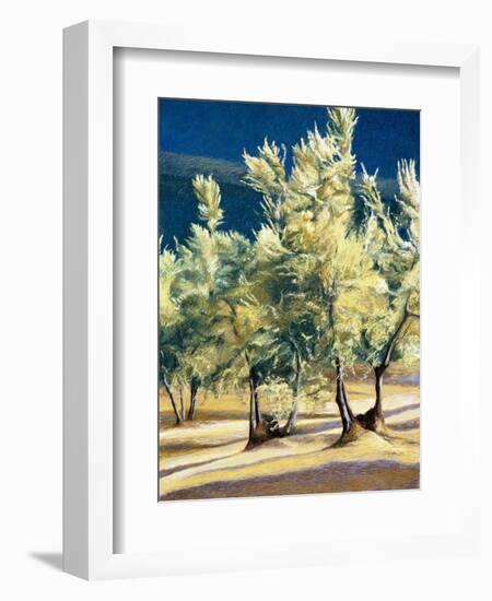 Olive Trees in Italy-Helen J. Vaughn-Framed Giclee Print