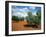 Olive Trees in Provence, France-David Barnes-Framed Photographic Print