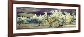 Olive Trees in the Evening-Helen J. Vaughn-Framed Giclee Print