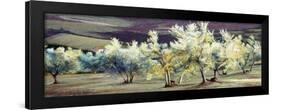 Olive Trees in the Evening-Helen J. Vaughn-Framed Giclee Print