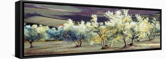 Olive Trees in the Evening-Helen J. Vaughn-Framed Stretched Canvas