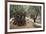 Olive Trees in the Garden of Gethsemane, Jerusalem, Israel, Middle East-Yadid Levy-Framed Photographic Print