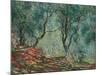 Olive Trees in the Moreno Garden, 1884-Claude Monet-Mounted Giclee Print