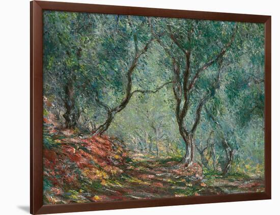 Olive Trees in the Moreno Garden, 1884-Claude Monet-Framed Giclee Print