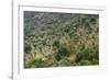 Olive Trees, Majorca, the Balearic Islands, Spain-Rainer Mirau-Framed Photographic Print