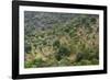 Olive Trees, Majorca, the Balearic Islands, Spain-Rainer Mirau-Framed Photographic Print