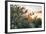 Olive Trees on Sunset. Sun Rays-Deyan Georgiev-Framed Photographic Print