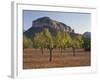 Olive Trees, Puig De S'Alcadena, Majorca, Spain-Rainer Mirau-Framed Photographic Print