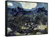 Olive Trees with the Alpilles in the Background-Vincent van Gogh-Framed Stretched Canvas