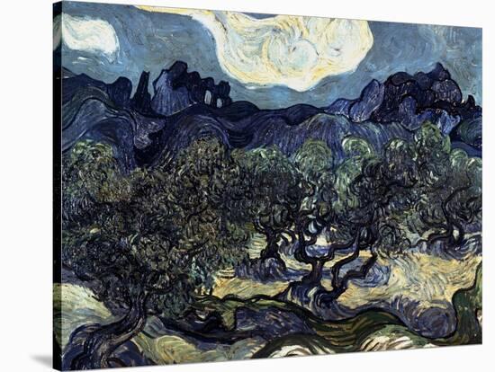Olive Trees with the Alpilles in the Background-Vincent van Gogh-Stretched Canvas