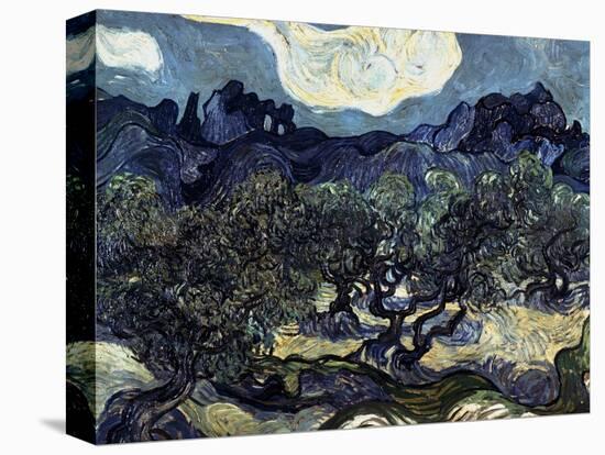 Olive Trees with the Alpilles in the Background-Vincent van Gogh-Stretched Canvas