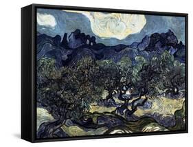 Olive Trees with the Alpilles in the Background-Vincent van Gogh-Framed Stretched Canvas