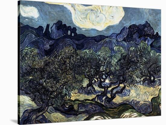 Olive Trees with the Alpilles in the Background-Vincent van Gogh-Stretched Canvas