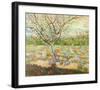 Olive Trees-Vincent van Gogh-Framed Art Print