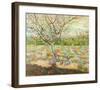 Olive Trees-Vincent van Gogh-Framed Art Print