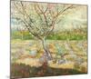 Olive Trees-Vincent van Gogh-Mounted Art Print