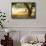 Olive Trees-Subbotina Anna-Framed Stretched Canvas displayed on a wall