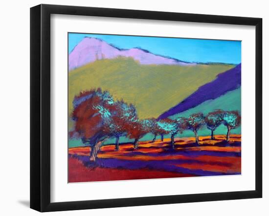 Olive Trees-Paul Powis-Framed Giclee Print