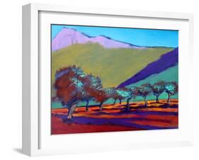 Olive Trees-Paul Powis-Framed Giclee Print