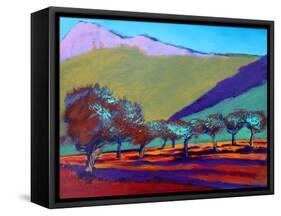 Olive Trees-Paul Powis-Framed Stretched Canvas