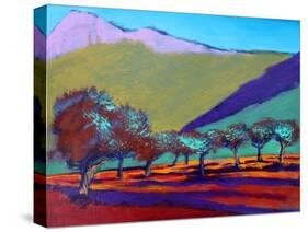 Olive Trees-Paul Powis-Stretched Canvas