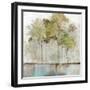 Olive Trees-Allison Pearce-Framed Art Print