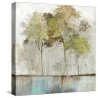 Olive Trees-Allison Pearce-Stretched Canvas