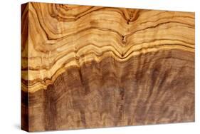 Olive Wood Texture-Veniamin Kraskov-Stretched Canvas